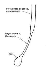 cabelo em ponto de exclamação