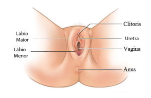 ninfoplastia